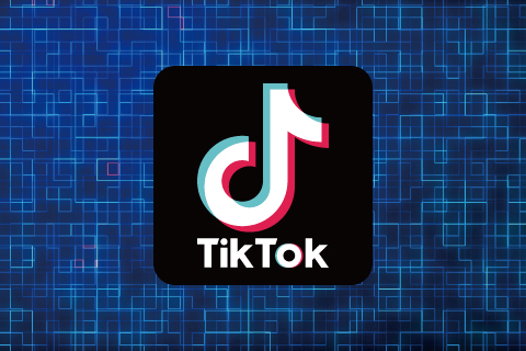 TIkTok運用・コンサルティング事業